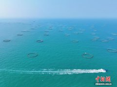 广西北海冠岭海洋牧场：生